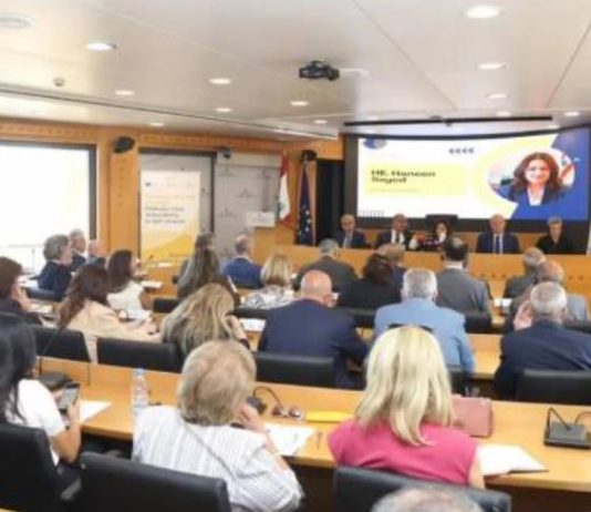 لبنان يطلق استراتيجية للإدماج الاقتصادي بدعم أوروبي ودولي