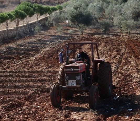 الترشيشي: لا جدوى اقتصادية من التصدير في ظل العراقيل الموجودة