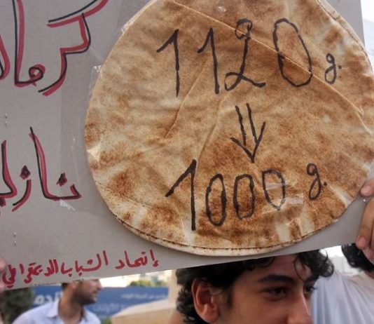 1400 دولار الكلفة الشهرية للمتطلّبات الأساسية