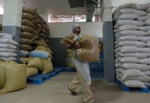 فتح الاستيراد يهدّد استمرارية زراعة القمح: البرغل التركي «نفش حالو» على حساب المزارع اللبناني