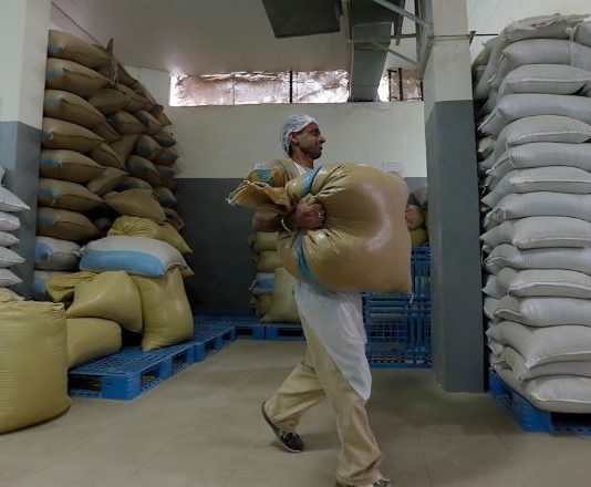 فتح الاستيراد يهدّد استمرارية زراعة القمح: البرغل التركي «نفش حالو» على حساب المزارع اللبناني