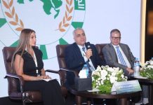 كركي يدعو من القاهرة: لتطوير آليات تمويل مستدامة وتعزيز الحوكمة المؤسساتية والاستثمارية