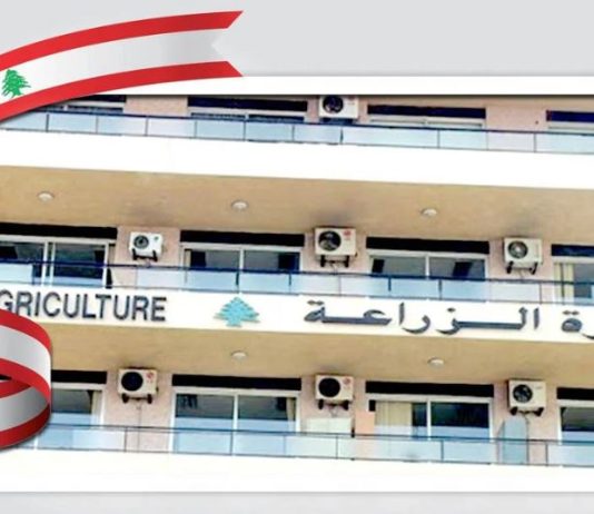 “الزراعة”: أضرار جسيمة في مبنى مصلحة النبطيّة جراء الغارات الاسرائيلية