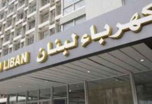 الكهرباء في مواجهة تجربة الشراكة